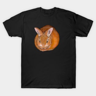 bunny rabbit cute baby ginger bunny rabbit T-Shirt